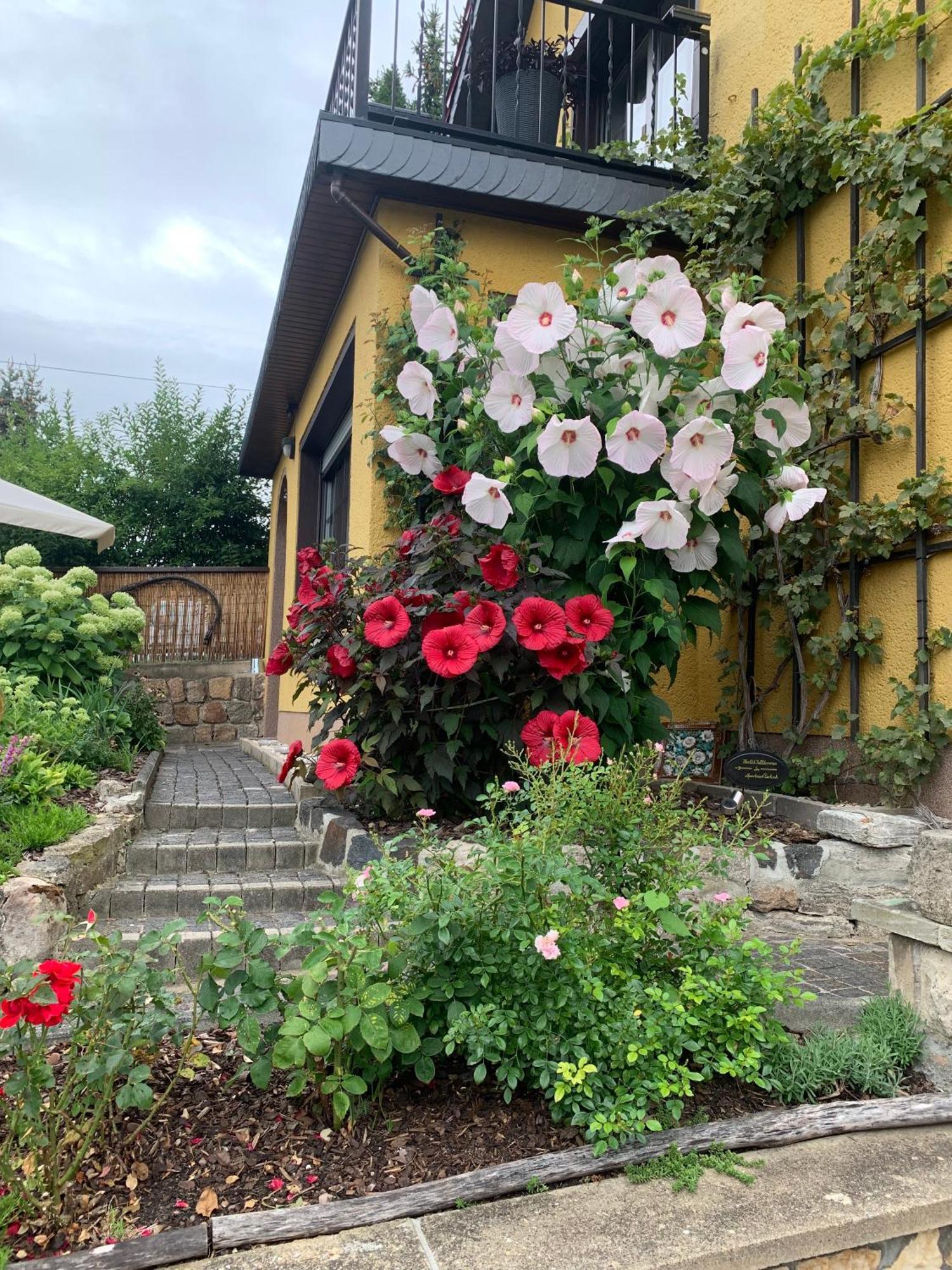 Partzsch Apartment Wethau 外观 照片