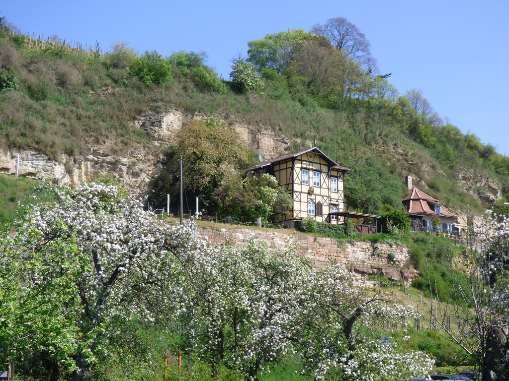 Partzsch Apartment Wethau 外观 照片